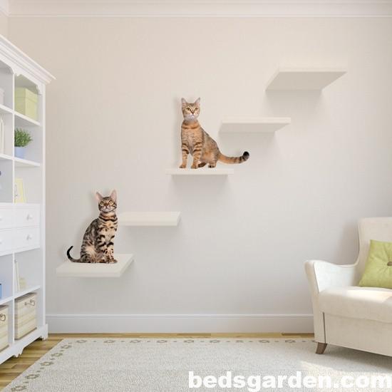 Home Decorating Ideas for Cats